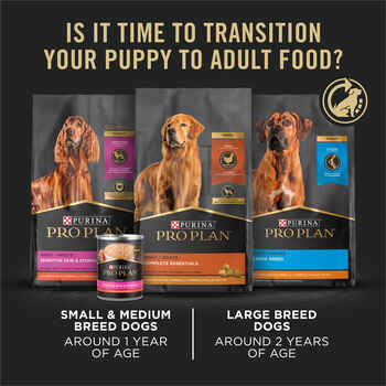 Purina Pro Plan Puppy Large Breed Sensitive Skin & Stomach Salmon & Rice Formula Dry Dog Food 16 lb Bag