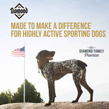 Diamond Hi-Energy Dry Dog Food