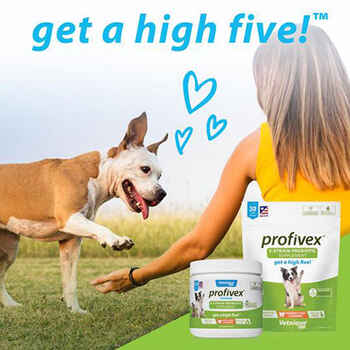 Profivex Probiotic Powder 4.25oz (120g)
