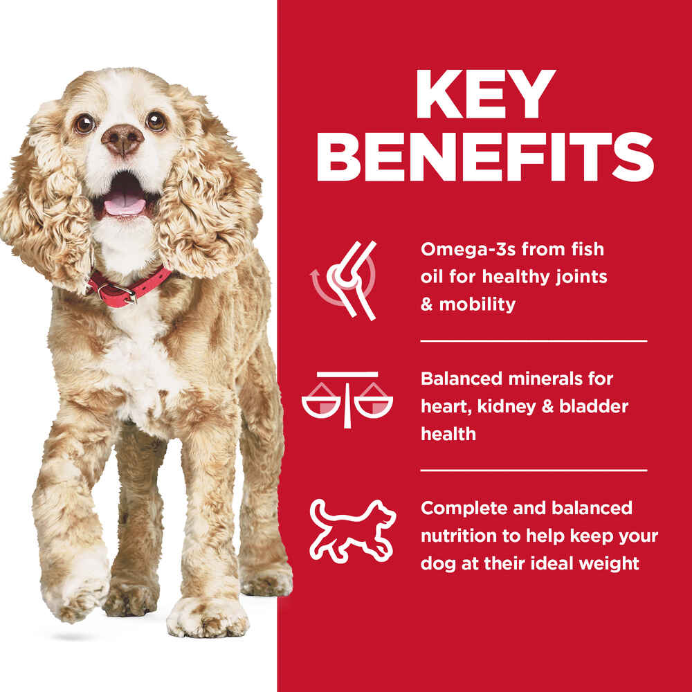 Hill's Science Diet Adult 11+ Senior Small & Mini Chicken Meal Brown Rice & Barley Dry Dog Food