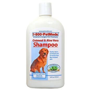 Oatmeal And Aloe Vera Shampoo For Dogs And Cats 1800petmeds