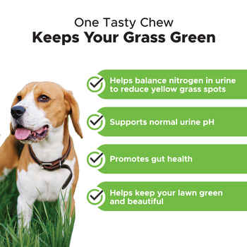 Pet Honesty Grass Green Duck Flavored Soft Chews Grass Burn & Lawn Protection Supplement for Dogs 90 ct