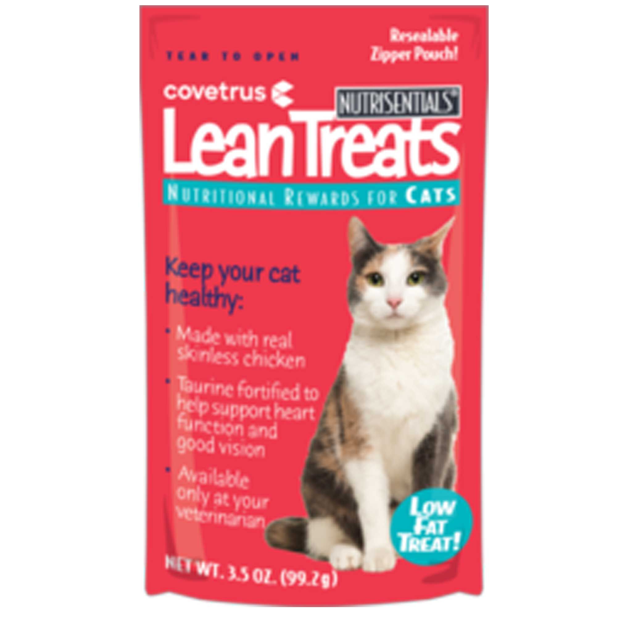 cool treats for cats