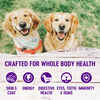 Wellness Complete Senior Chicken & Barley for Dogs