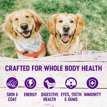 Wellness Complete Health Senior Deboned Chicken & Barley Recipe Dry Dog Food