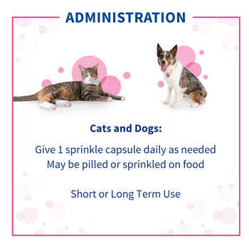 Proviable Combo Kit for Cats and Small Dogs 15 ml