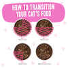 Weruva BFF Tuna & Duck Devour Me Pouches Wet Cat food 12 3-oz Packs