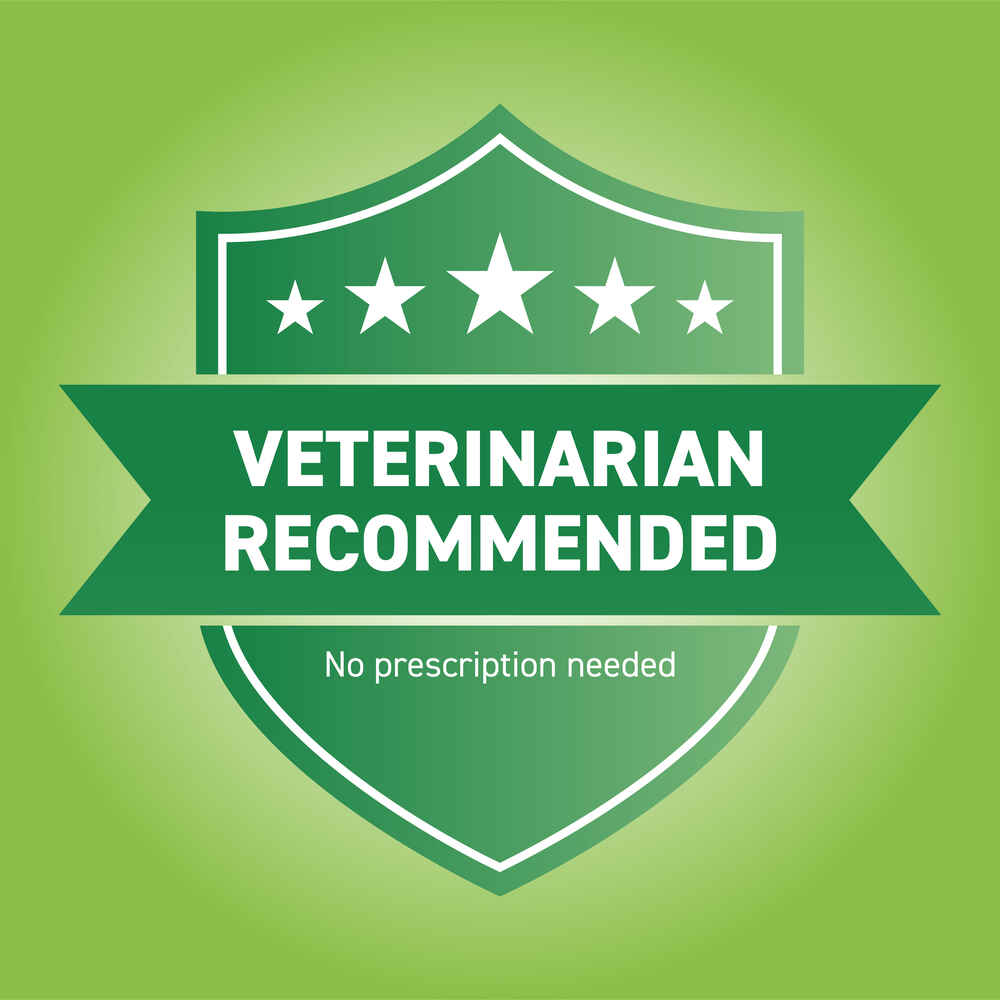 Can You Give Heartgard To A Nursing Dog