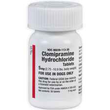 Clomipramine Hydrochloride Tablets - Generic to Clomicalm 5 mg 2.75-10.9 lbs 30 ct-product-tile