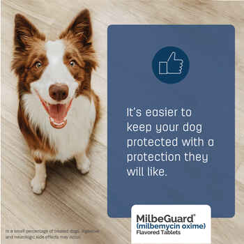 MilbeGuard - Generic to Interceptor 6 pk Extra Large Dogs 51-100 lbs or Cats 12.1-25 lbs