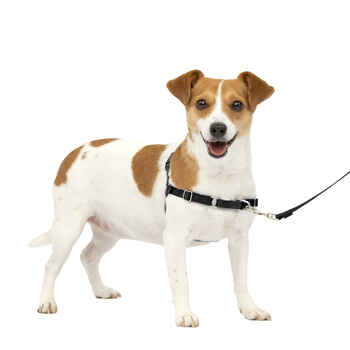 PetSafe Easy Walk Harness No Pull Dog Harness - Small - Charcoal product detail number 1.0