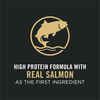 Purina Pro Plan Adult Complete Essentials Shredded Blend Salmon & Rice Formula Dry Dog Food 33 lb Bag