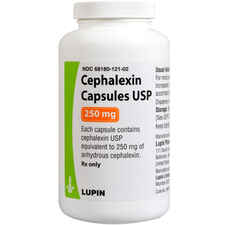 Cephalexin 250 mg (sold per capsule)-product-tile