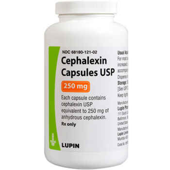 Cephalexin 250 mg (sold per capsule) product detail number 1.0
