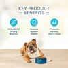 Blue Buffalo BLUE Basics Skin & Stomach Care Grain-Free Turkey & Potato Recipe Adult Dry Dog Food