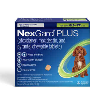 NexGard® PLUS CHEWS For Dogs 8.1 to 17 lbs. (Green Box) 1 Chew (1 Month Supply) product detail number 1.0