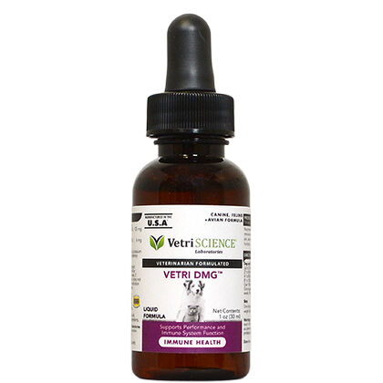 dmg supplement side effects dmg supplement side effects