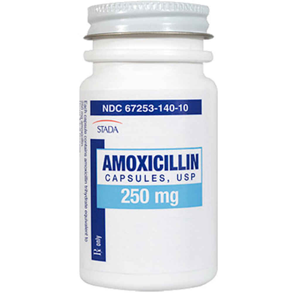 Purchase amoxicillin. Become our customer and save your money.