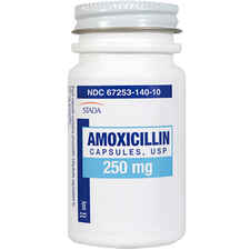 Amoxicillin 250 mg (sold per capsule)-product-tile