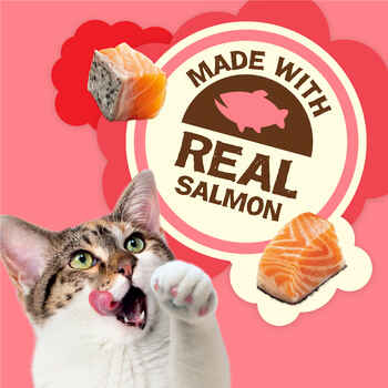 Friskies Party Mix Natural Yums with Real Salmon Cat Treats 2.1 oz Pouch
