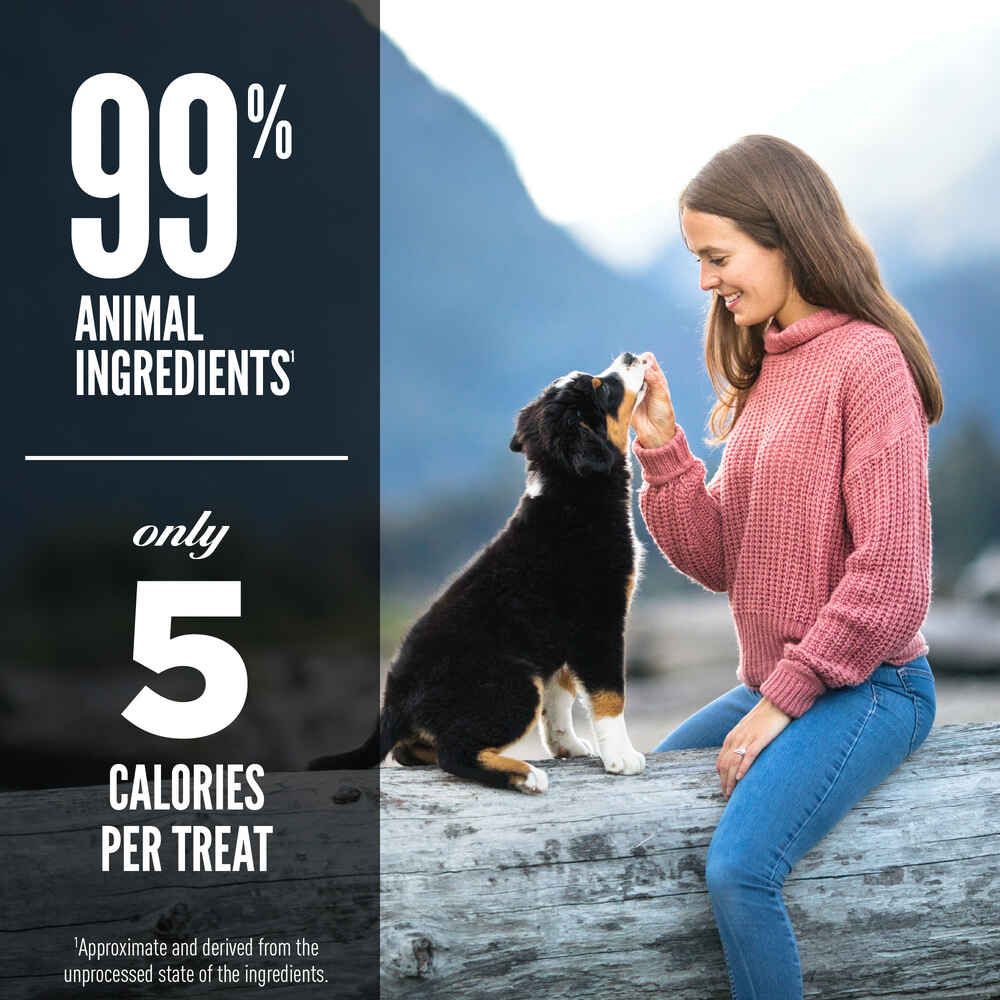 ORIJEN Tundra Freeze-Dried Dog Treats