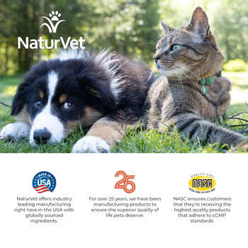 NaturVet All-in-One Supplement for Dogs and Cats Powder 13 oz