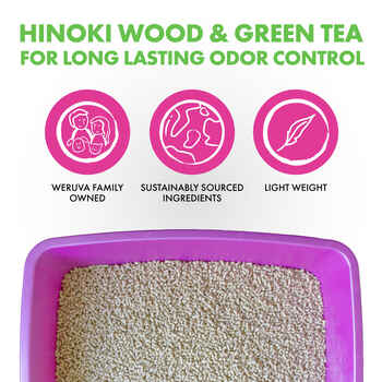 It's A Tea Potty! Weruva Cat Litter with Hinoki Wood & Green Tea