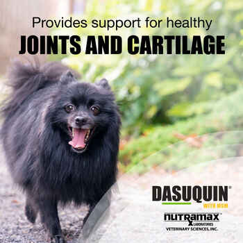 Nutramax Dasuquin Joint Health Supplement - With Glucosamine, Chondroitin, ASU, MSM, Boswellia Serrata Extract, Green Tea Extract