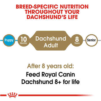 Royal Canin Breed Health Nutrition Dachshund Adult Dry Dog Food - 10 lb Bag