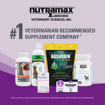 Nutramax Dasuquin Joint Health Supplement - With Glucosamine, Chondroitin, ASU, Boswellia Serrata Extract, Green Tea Extract Large Dogs, 84 Chewable Tablets