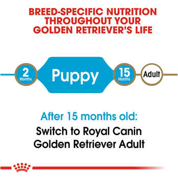 Royal Canin Breed Health Nutrition Golden Retriever Puppy Dry Dog Food - 30 lb Bag