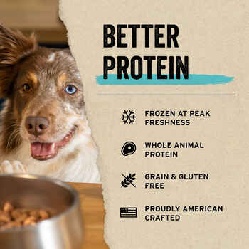Vital Essentials Freeze Dried Raw Duck Bites Dog Treats 2 oz Bag