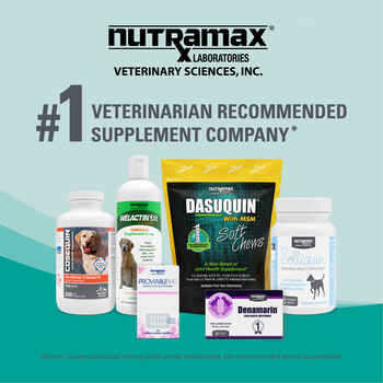 Nutramax Dasuquin Joint Health Supplement - With Glucosamine, Chondroitin, ASU, Boswellia Serrata Extract, and Green Tea Extract Large Dogs, 84 Soft Chews