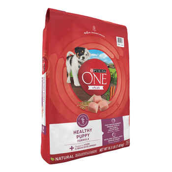 Purina ONE +Plus Healthy Puppy Formula High Protein Natural Chicken Dry Puppy Food 16.5 lb Bag