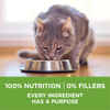Purina ONE +Plus Indoor Advantage & Weight Control Turkey Flavored Indoor Dry Cat Food  