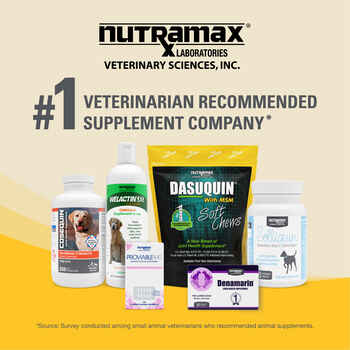 Nutramax Dasuquin Joint Health Supplement - With Glucosamine, Chondroitin, ASU, MSM, Boswellia Serrata Extract, Green Tea Extract Large Dogs, 84 Soft Chews