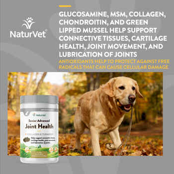 NaturVet Senior Advanced Joint Health Supplement for Dogs Soft Chews 60 ct