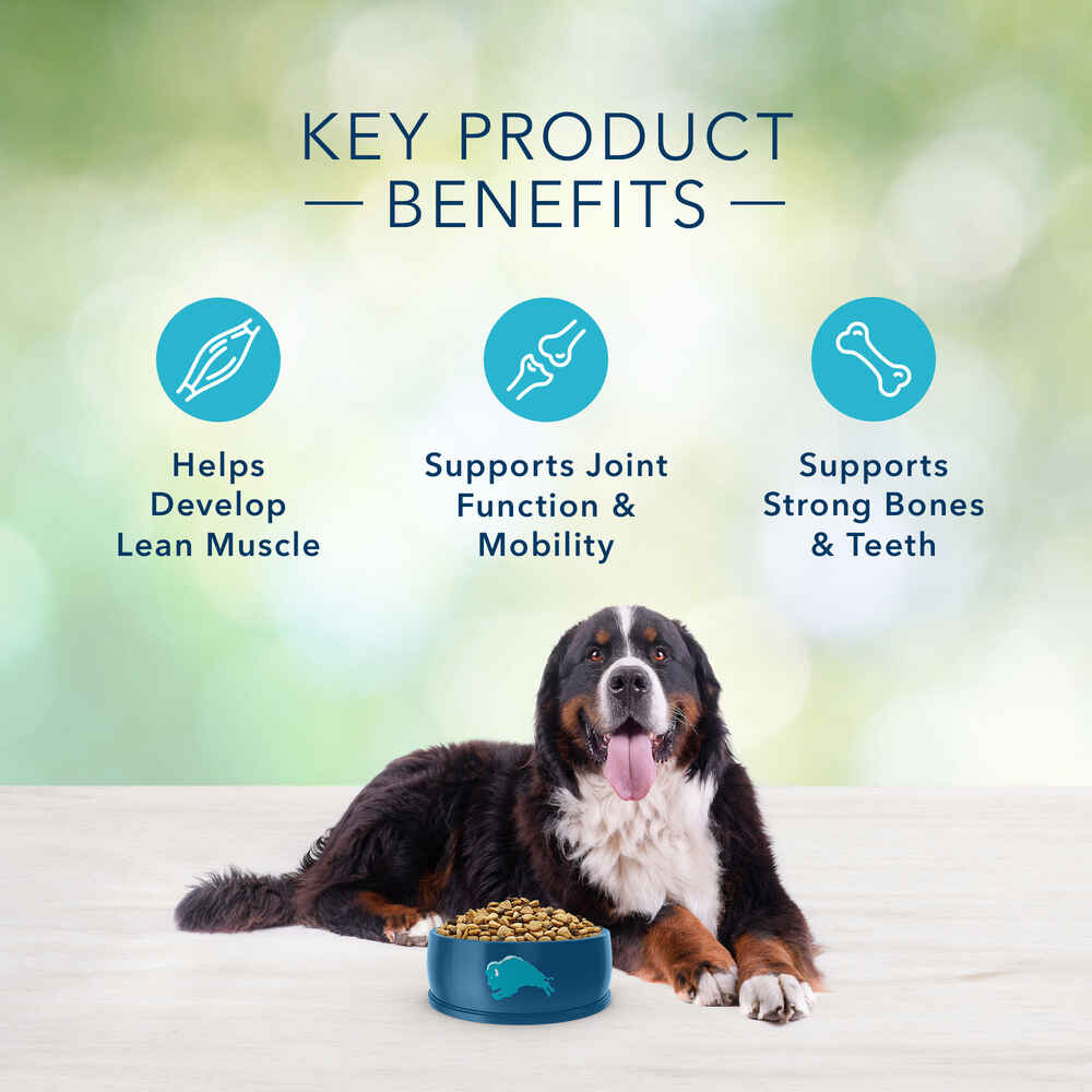 Blue Buffalo Freedom Large Breed Grain-Free Chicken Recipe Adult Dry Dog Food
