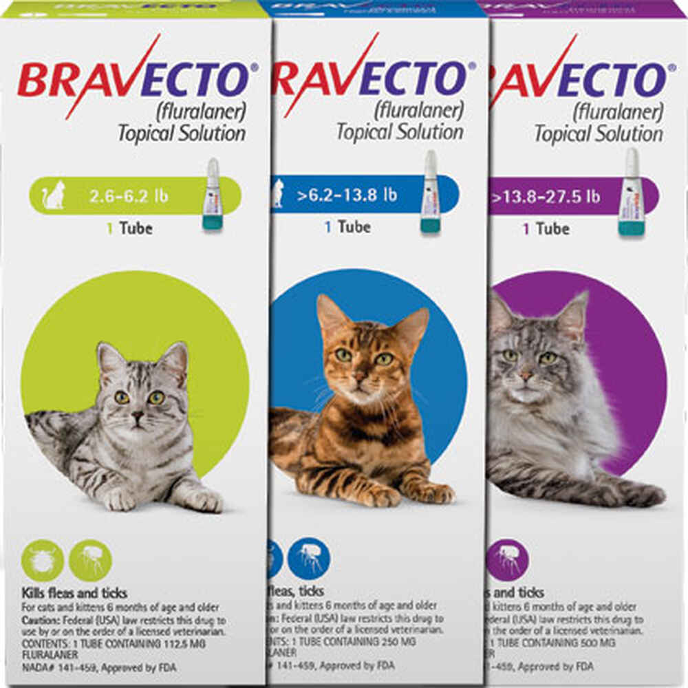 beholder grave rørledning Bravecto for Cats | 1800PetMeds