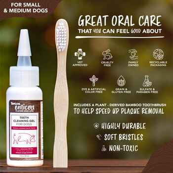 Tropiclean Enticers Teeth Gel/Toothbrush For S/M Dog - Hick/Bacon  2oz