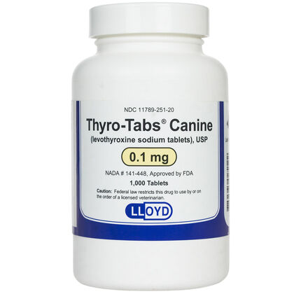 thyroid meds for dogs