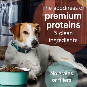 Canidae PURE Grain Free Salmon & Sweet Potato Recipe Dry Dog Food 12 lb Bag