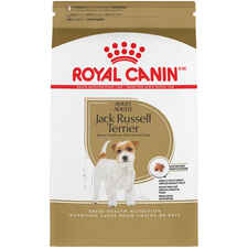 Royal Canin Breed Health Nutrition Jack Russell Terrier Adult Dry Dog Food-product-tile