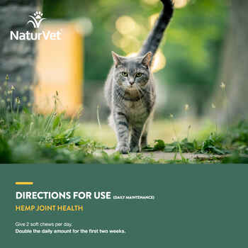 NaturVet Hemp Joint Health Plus Hemp Seed Supplement for Cats Soft Chews 60 ct