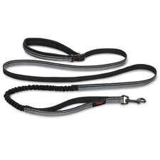 Halti All in One Lead Active Dog Leash-product-tile