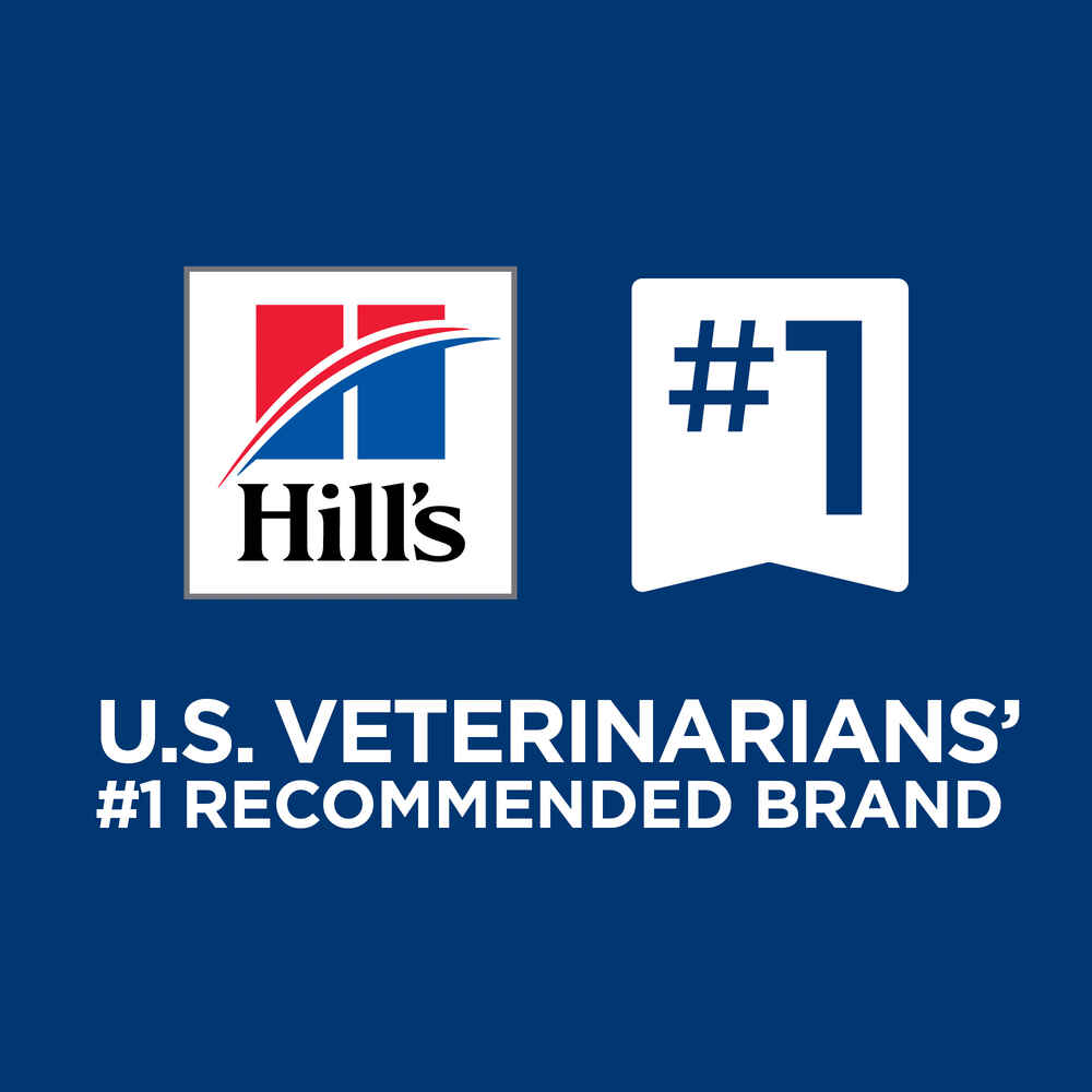 Hill's Prescription Diet Derm Complete Environmental/Food Sensitivities Rice & Egg Recipe Dry Dog Food