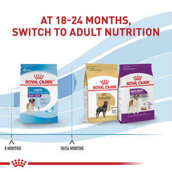 Royal Canin Size Health Nutrition Giant Breed Junior Dry Dog Food - 30 lb Bag  