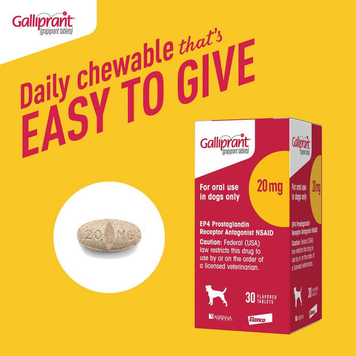 Bundle: Galliprant + Greenies - Joint Health Bundle for Dogs product detail number 1.0