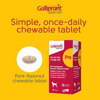 Galliprant 60 mg Tab 30 ct