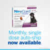 NexGard® (afoxolaner) Chewables 1 dose (1 month supply), 24 to 60 lbs